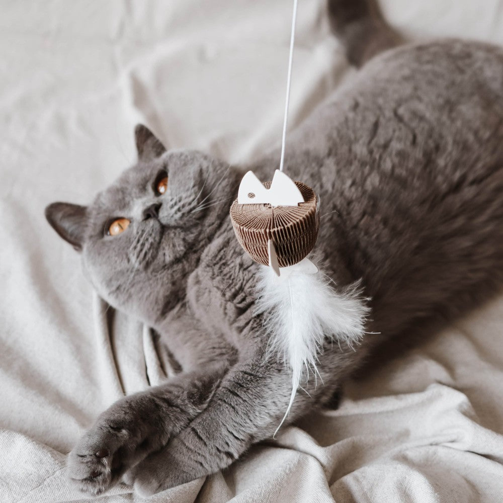 BAIT kattenhengel in gebruik met kat - District 70