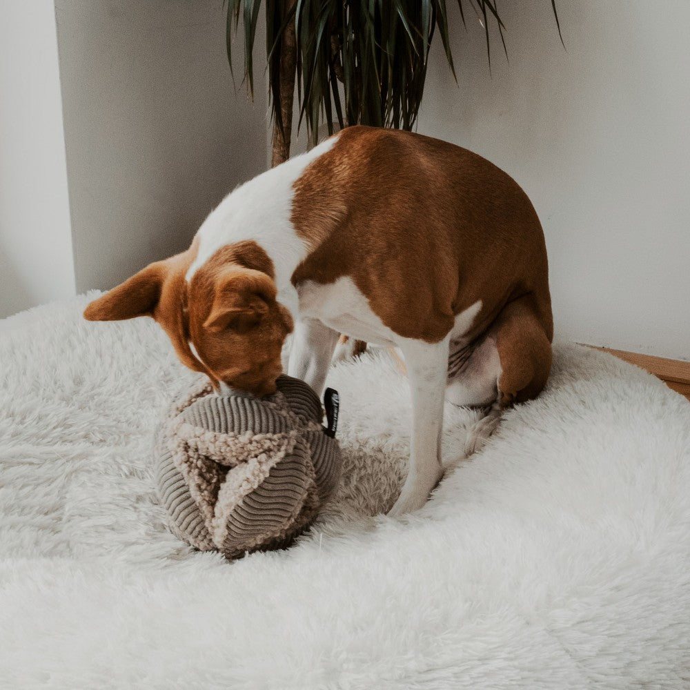 Taupe snuffelspeelgoed ø 19 cm voor honden - BOBBY District 70