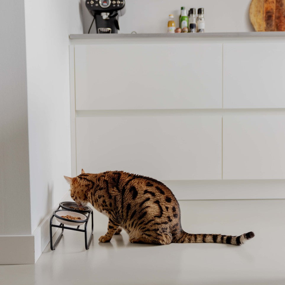 BUTLER voerbakstandaard voor katten in zwart lifestyle - District 70