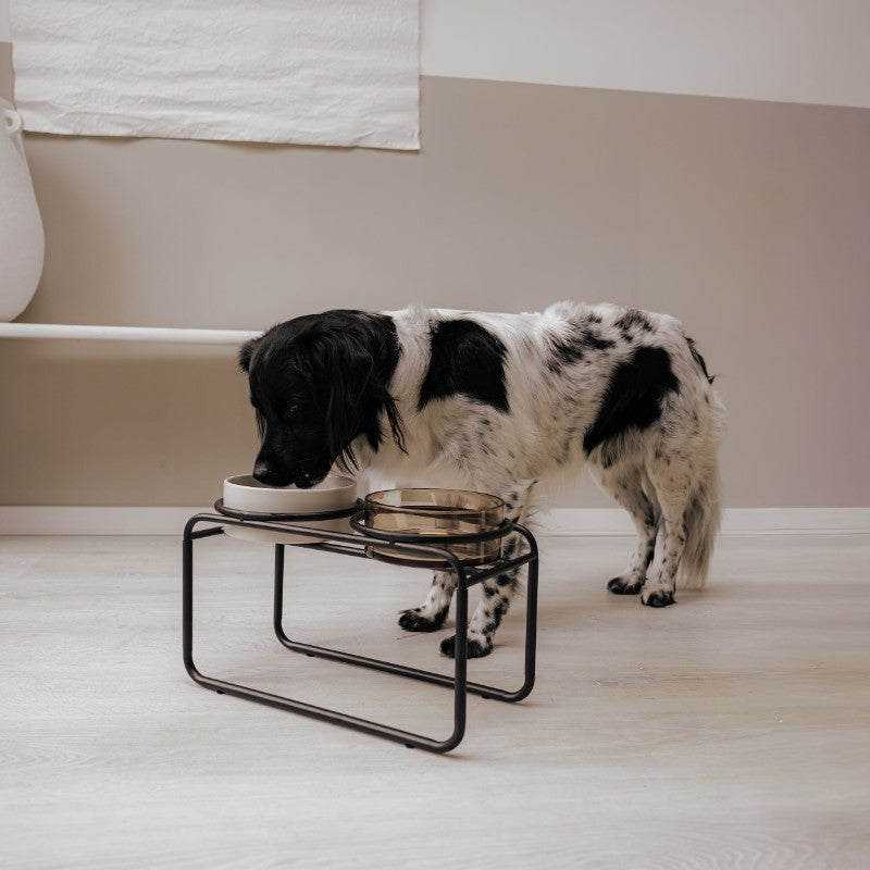 Voerbak voor hond in moderne keuken - DAWN District 70