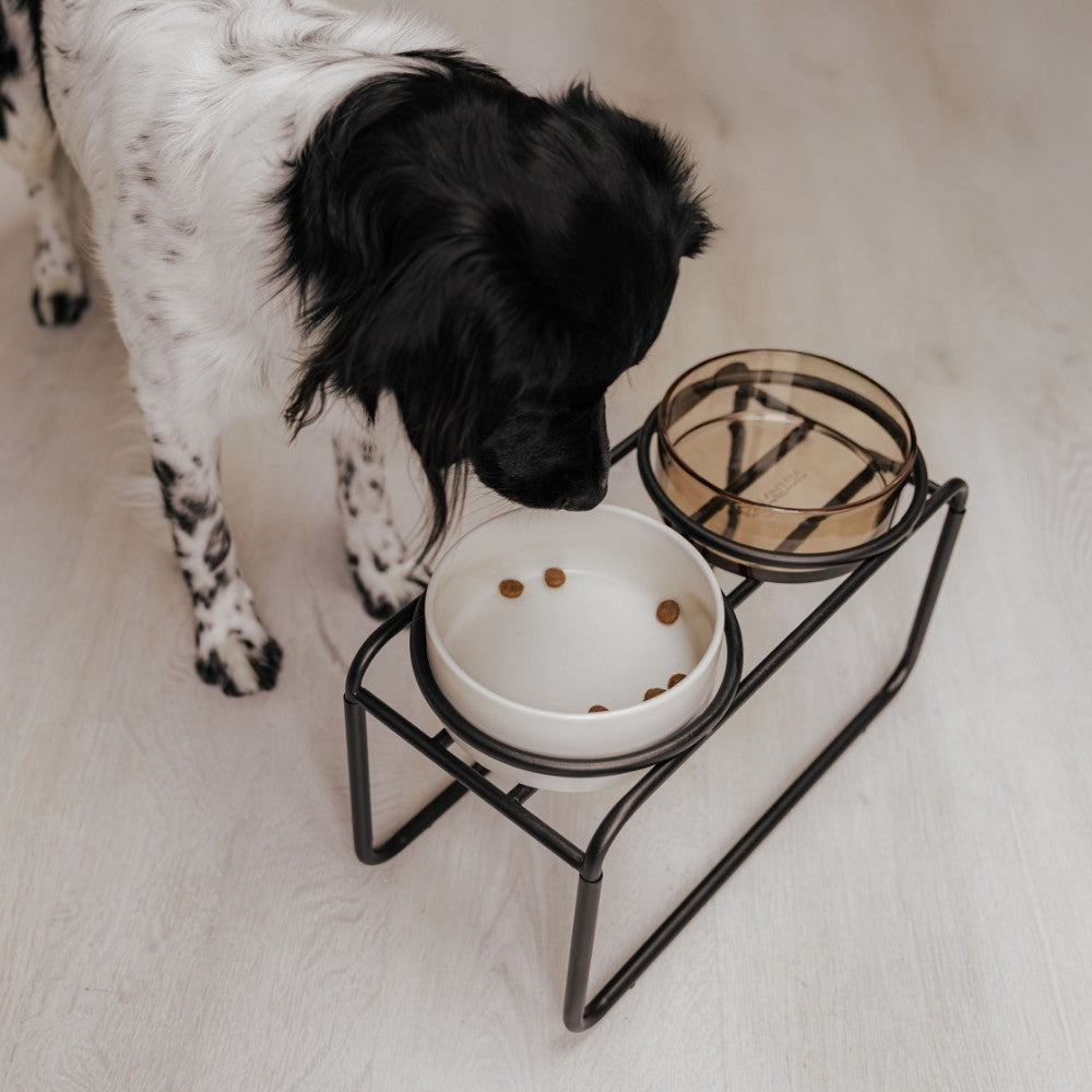 Voerbakstandaard met hond eet uit bak - BUTLER District 70