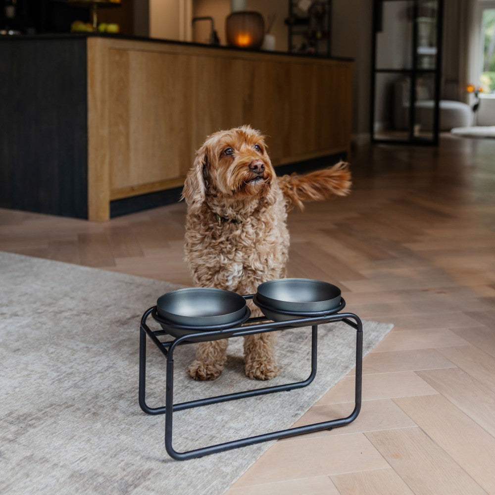Verhoogde voerbakstandaard voor honden in zwart - BUTLER District 70