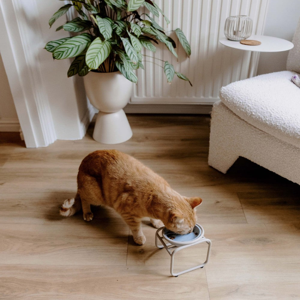 BUTLER single voerbakstandaard voor kat in beige - District 70