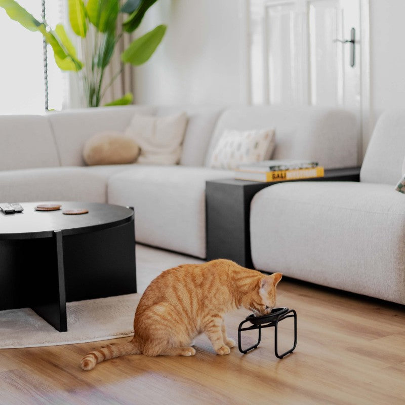 BUTLER single voerbakstandaard voor kat lifestyle foto - District 70