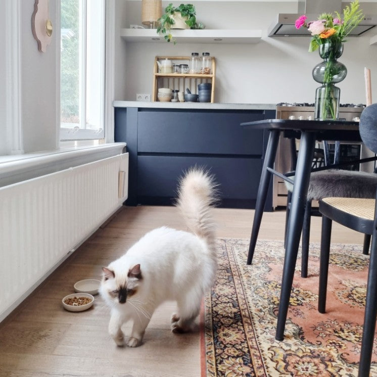 BAMBOO voerbak voor katten in interieursetting - District 70