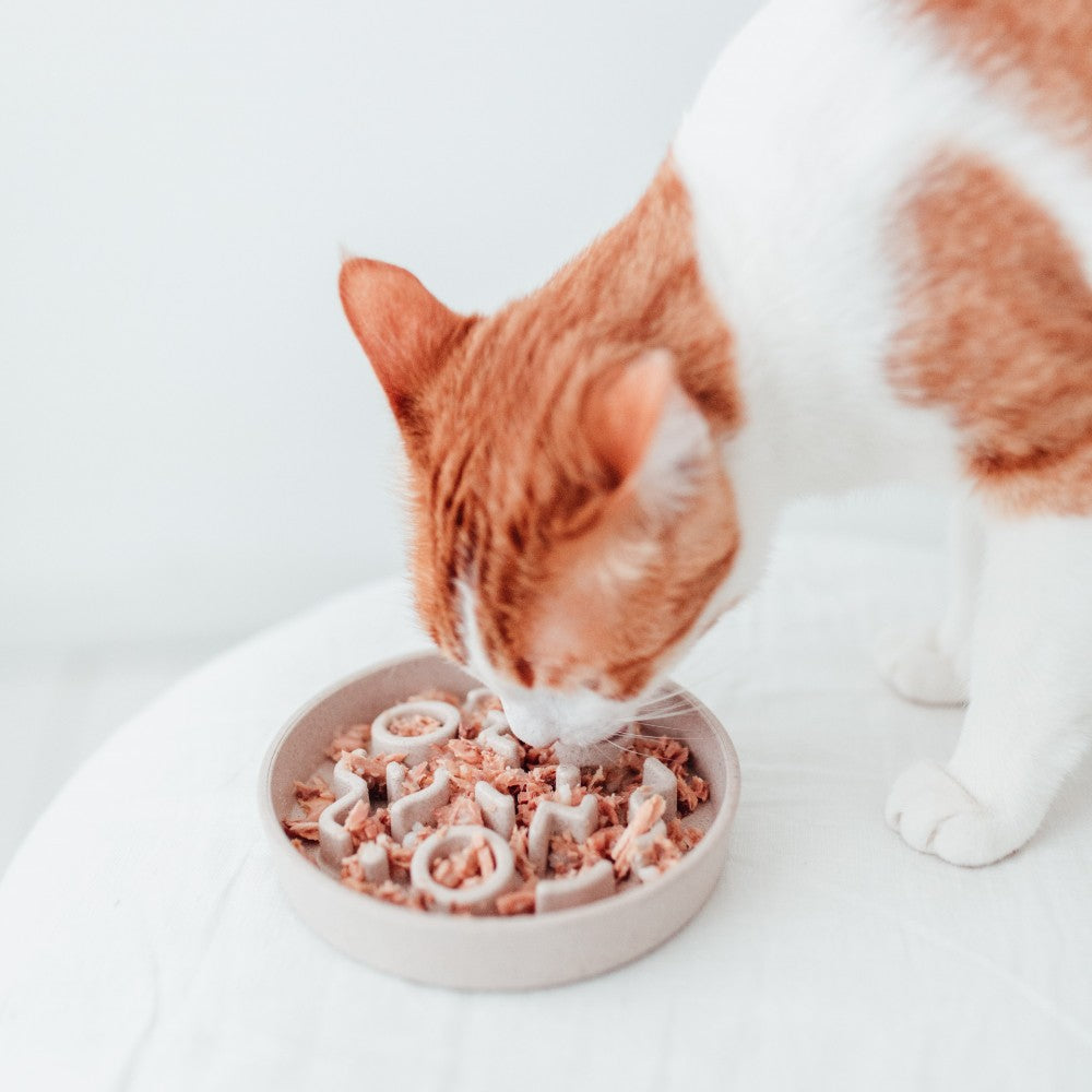 BAMBOO anti-schrok voerbak voor katten lifestyle foto - District 70