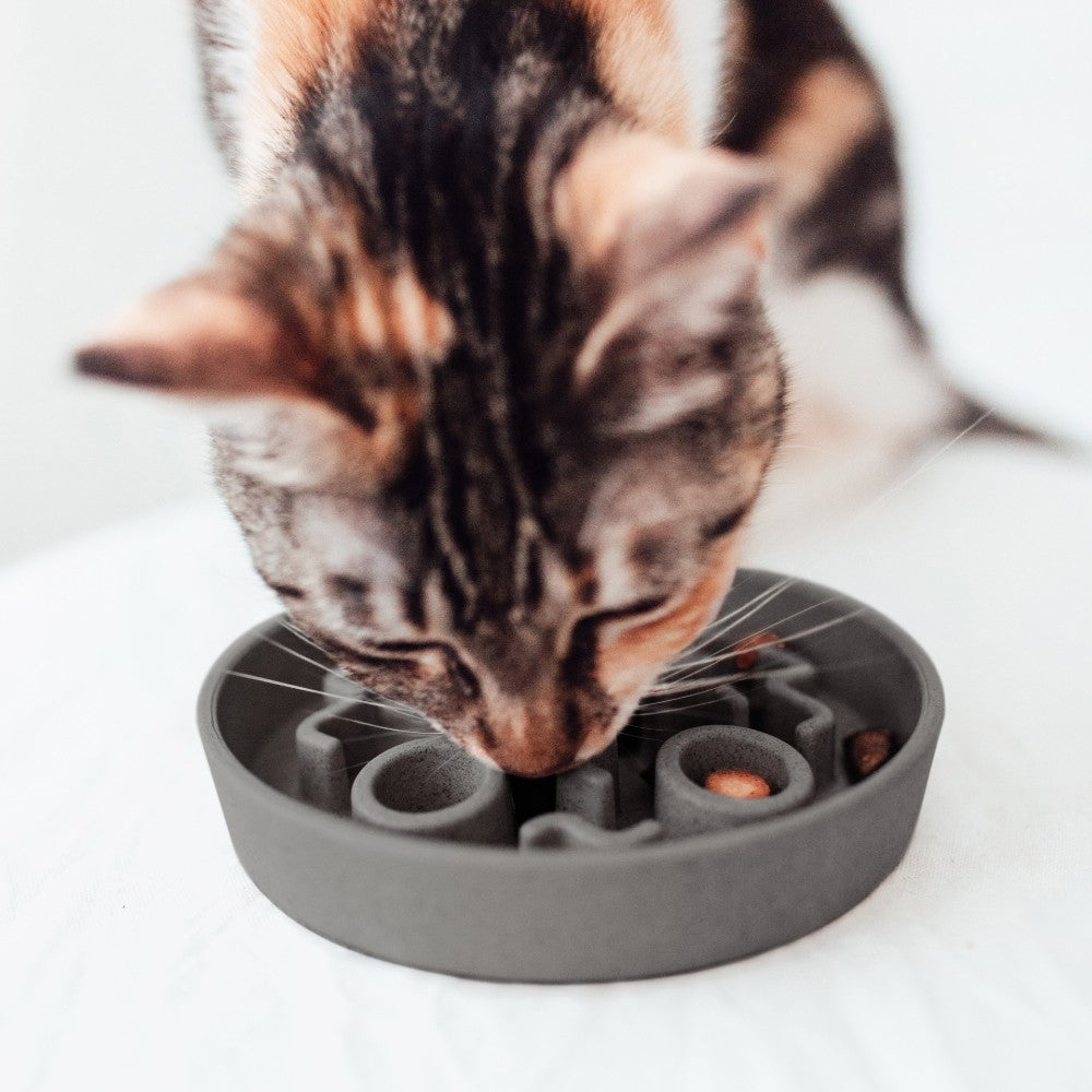 BAMBOO slow feeder voor katten detailfoto - District 70