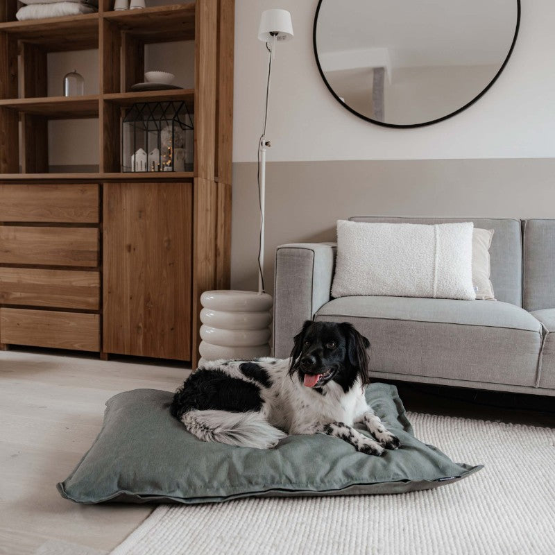 Hond ligt op zacht hondenkussen - CLASSIC District 70