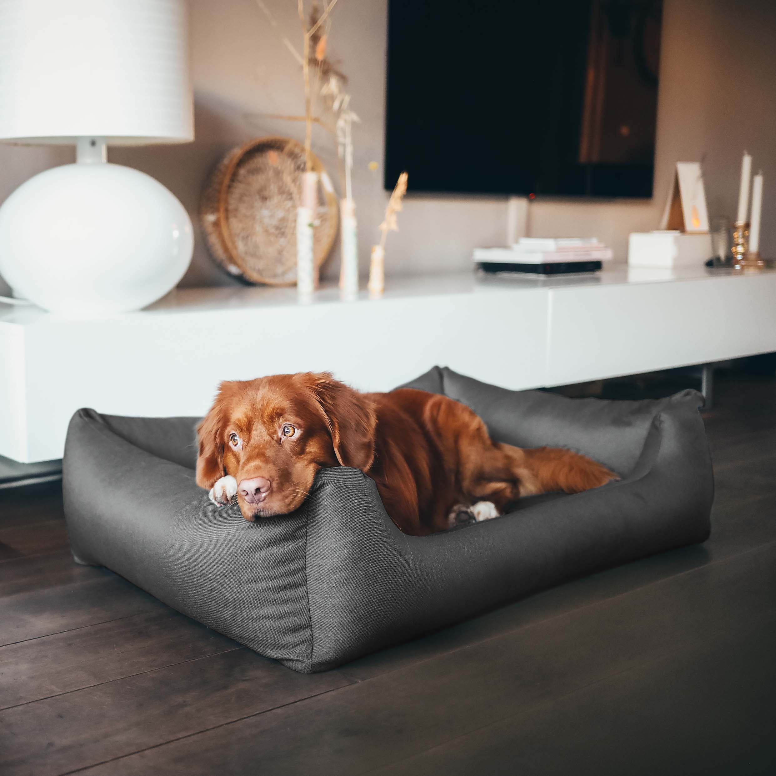 CLASSIC - Comfortabele mand