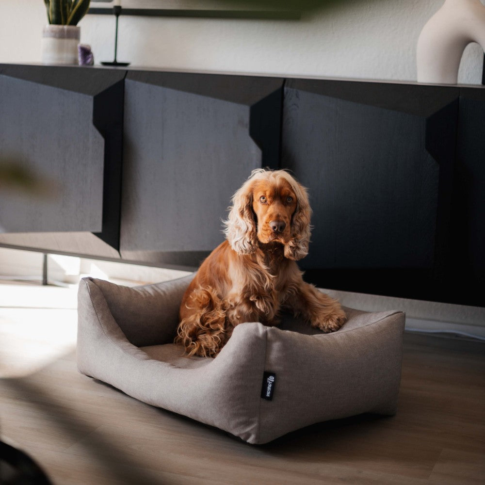 Stijlvolle hondenmand in modern interieur - CLASSIC District 70