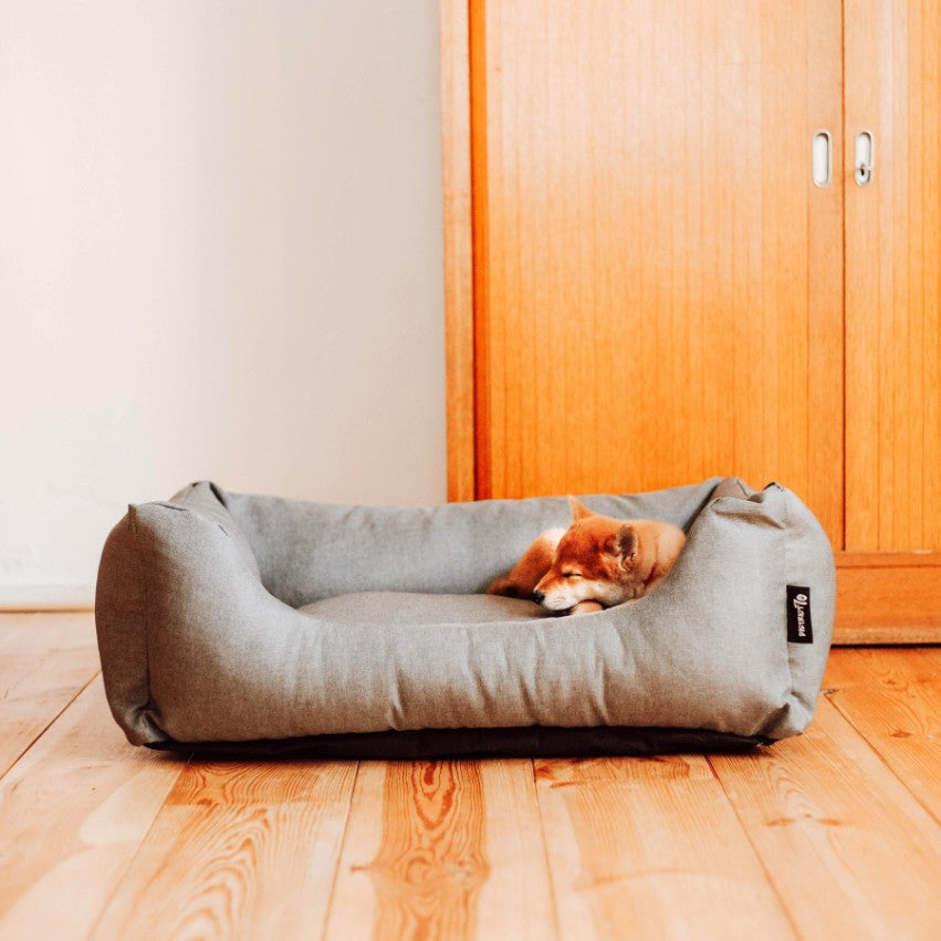 Hond ligt in comfortabele box bed mand - CLASSIC District 70