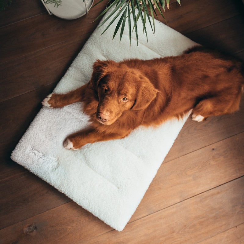 Benchmat in de hondenbench gestyled - SHERPA District 70