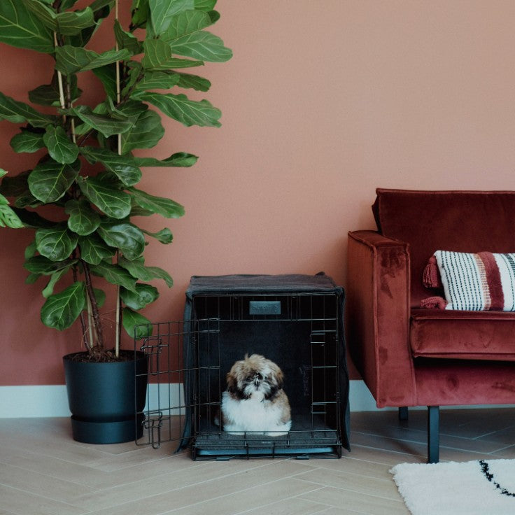 Hond in de 2-deurs bench - CRATE District 70