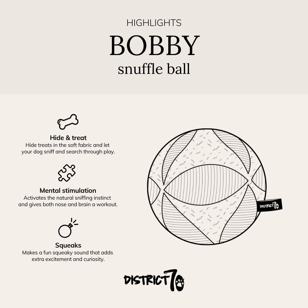 Infographic met kenmerken van de snuffelbal - BOBBY District 70