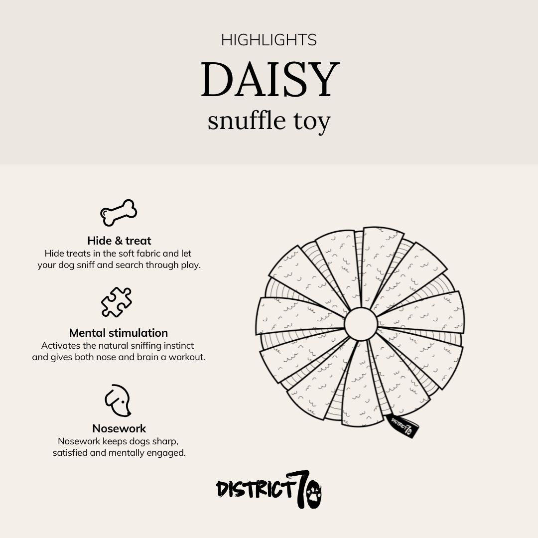 Infographic met kenmerken van het snuffelspeelgoed - DAISY District 70