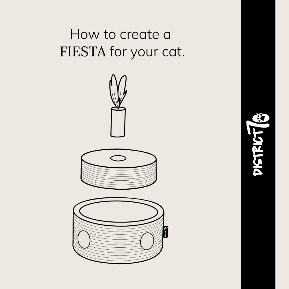 FIESTA kattenspeelgoed opbouw infographic - District 70