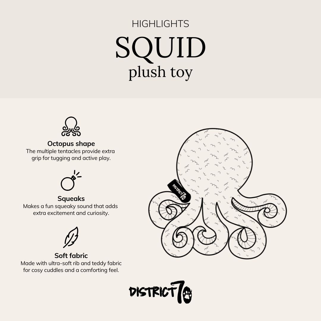 Infographic met kenmerken van het piepspeelgoed - SQUID District 70