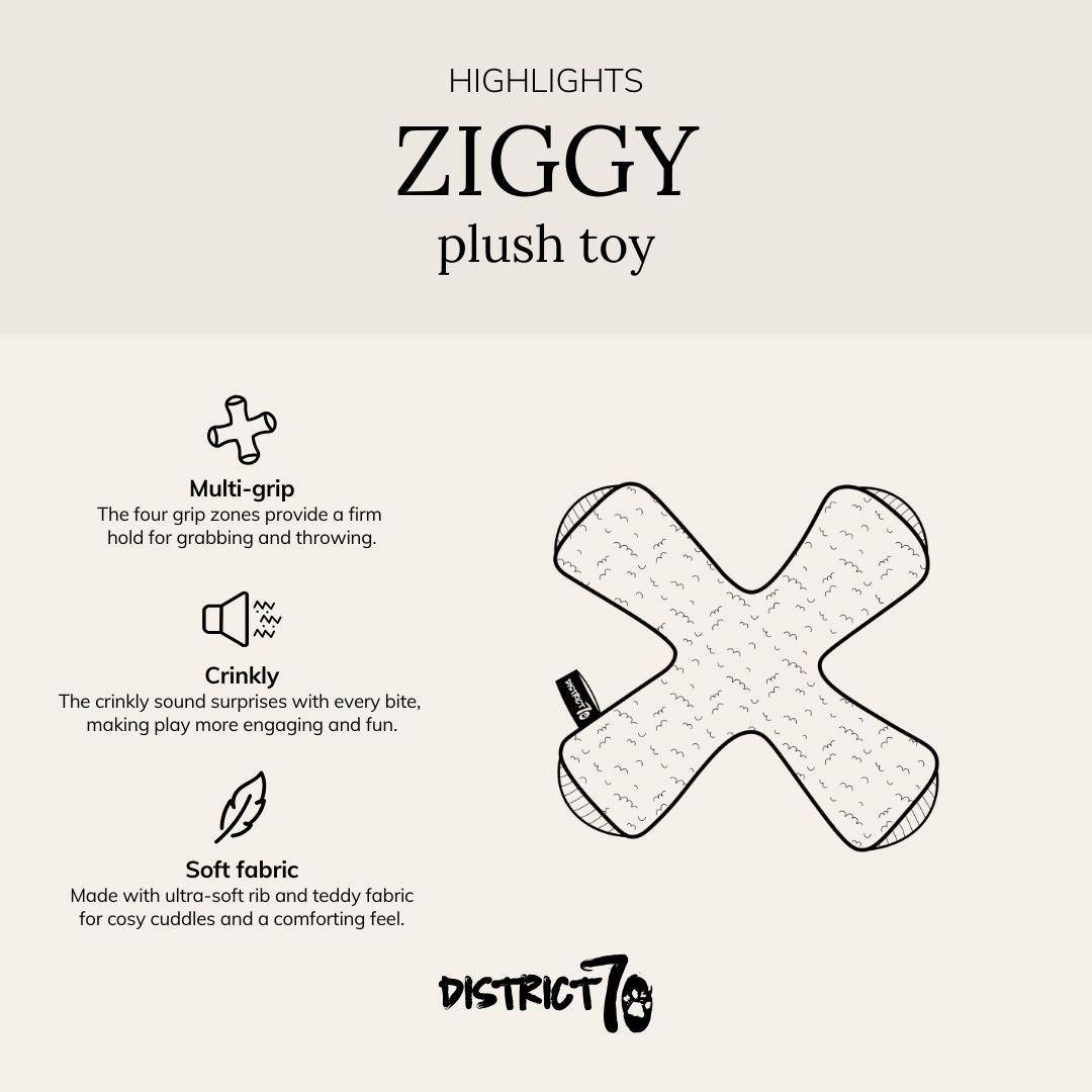 Infographic met kenmerken van het piepspeelgoed - ZIGGY District 70