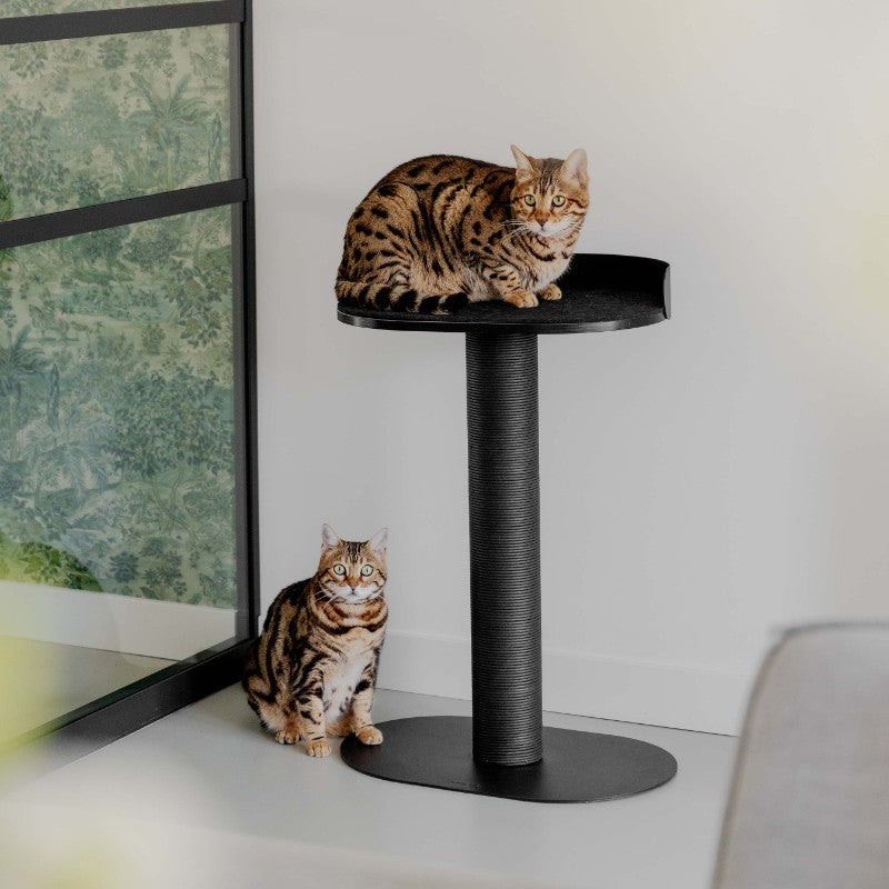 Stalen krabpaal voor kat in zwart lifestyle foto - OASIS 80 District 70