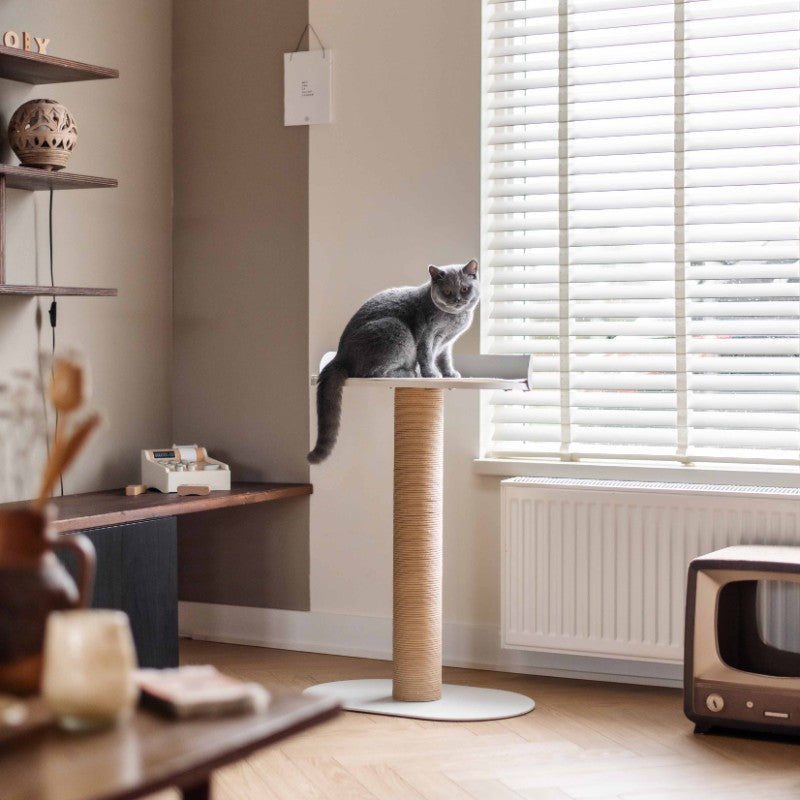 Stalen krabpaal in wit interieur - OASIS 80 District 70