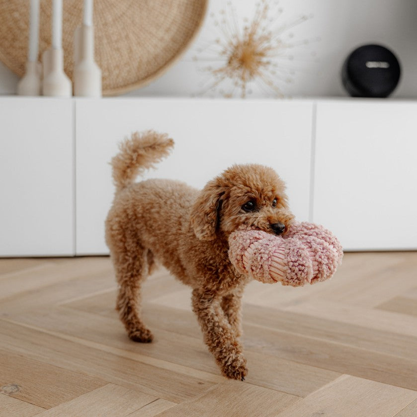 Roze snuffelspeelgoed ø 14 cm voor honden - DAISY District 70