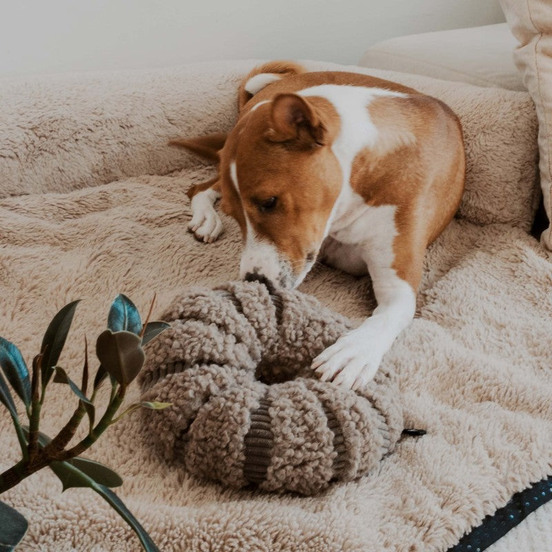 Taupe snuffelspeelgoed ø 21 cm voor honden - DAISY District 70