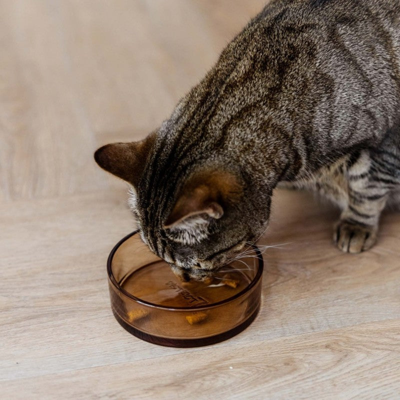 DAWN glazen voerbak voor katten in champagne - District 70