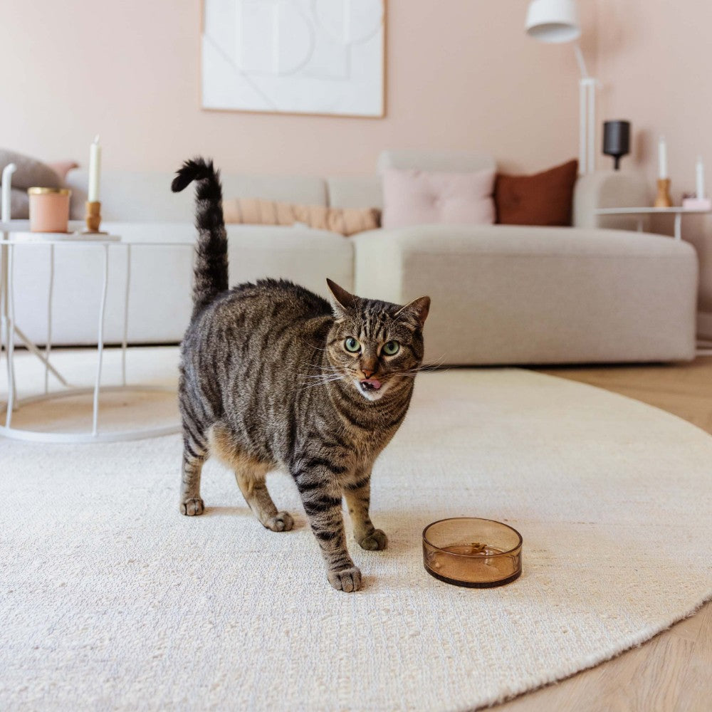 DAWN glazen voerbak voor katten in champagne detailfoto - District 70
