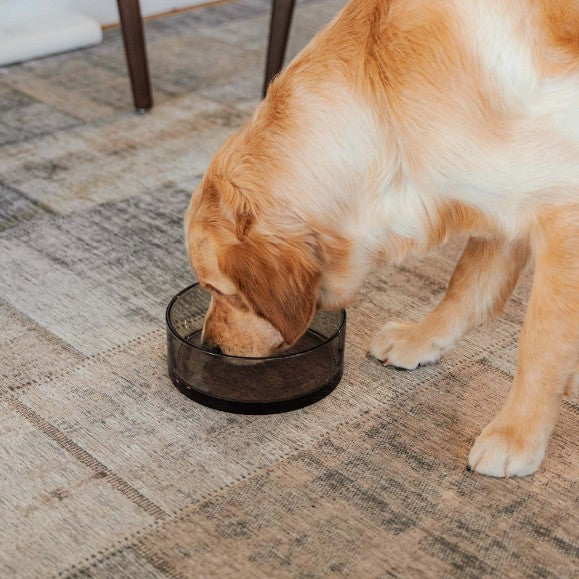Voerbak voor hond in zwart maat L - DAWN District 70