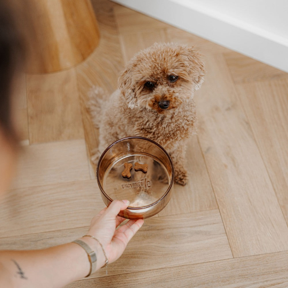 Glazen voerbak voor hond in champagne maat S - DAWN District 70