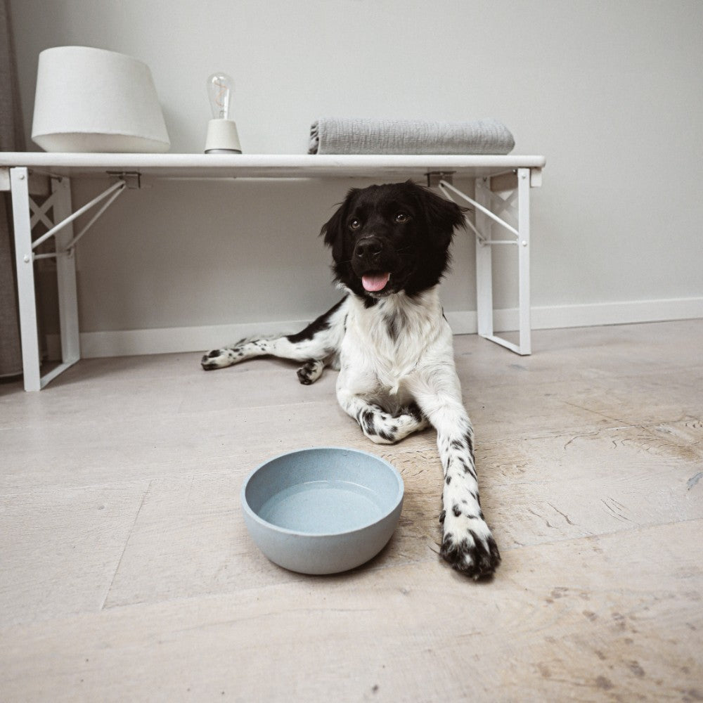 Bamboe voerbak voor hond met eten - BAMBOO District 70