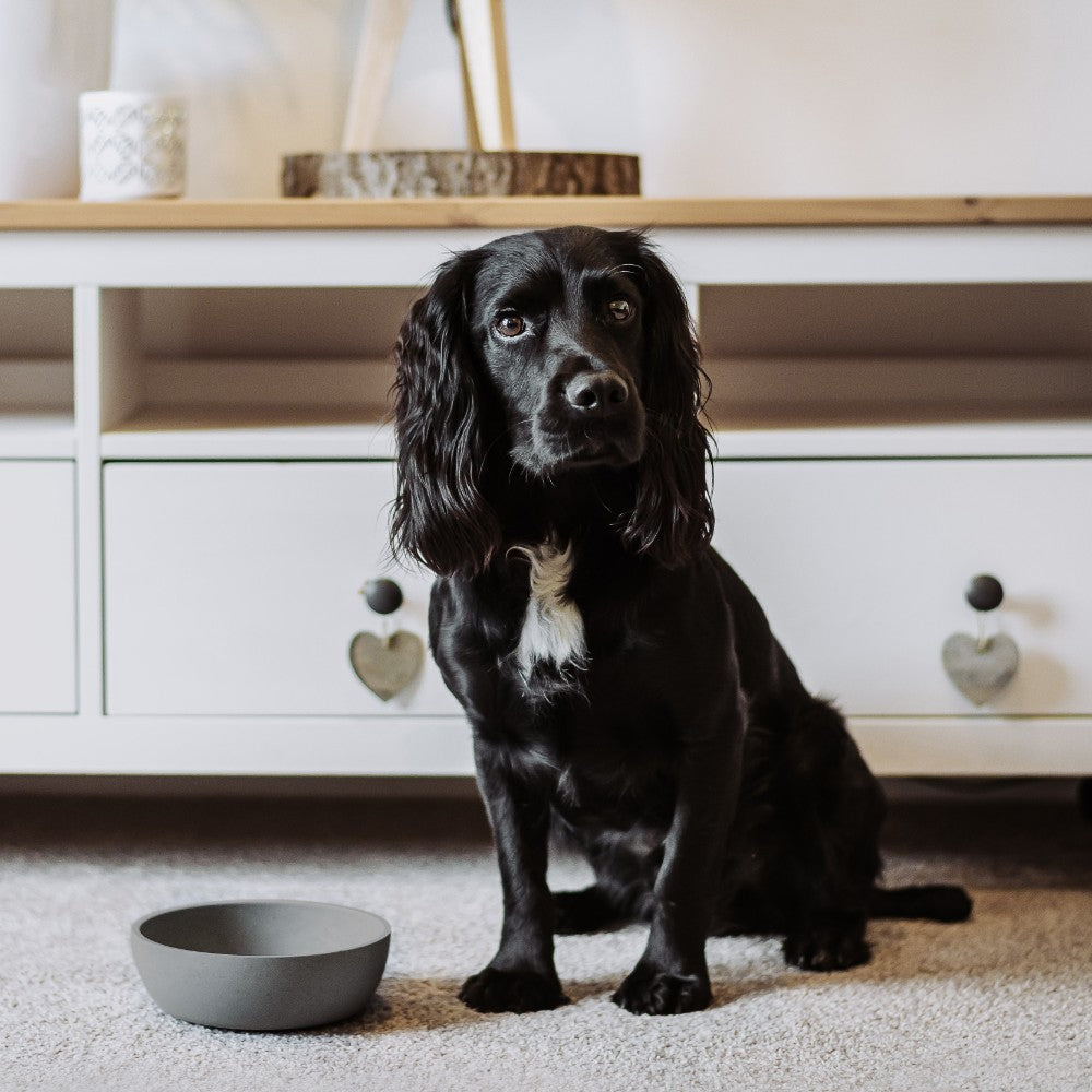 Voerbak voor hond in moderne keuken - BAMBOO District 70
