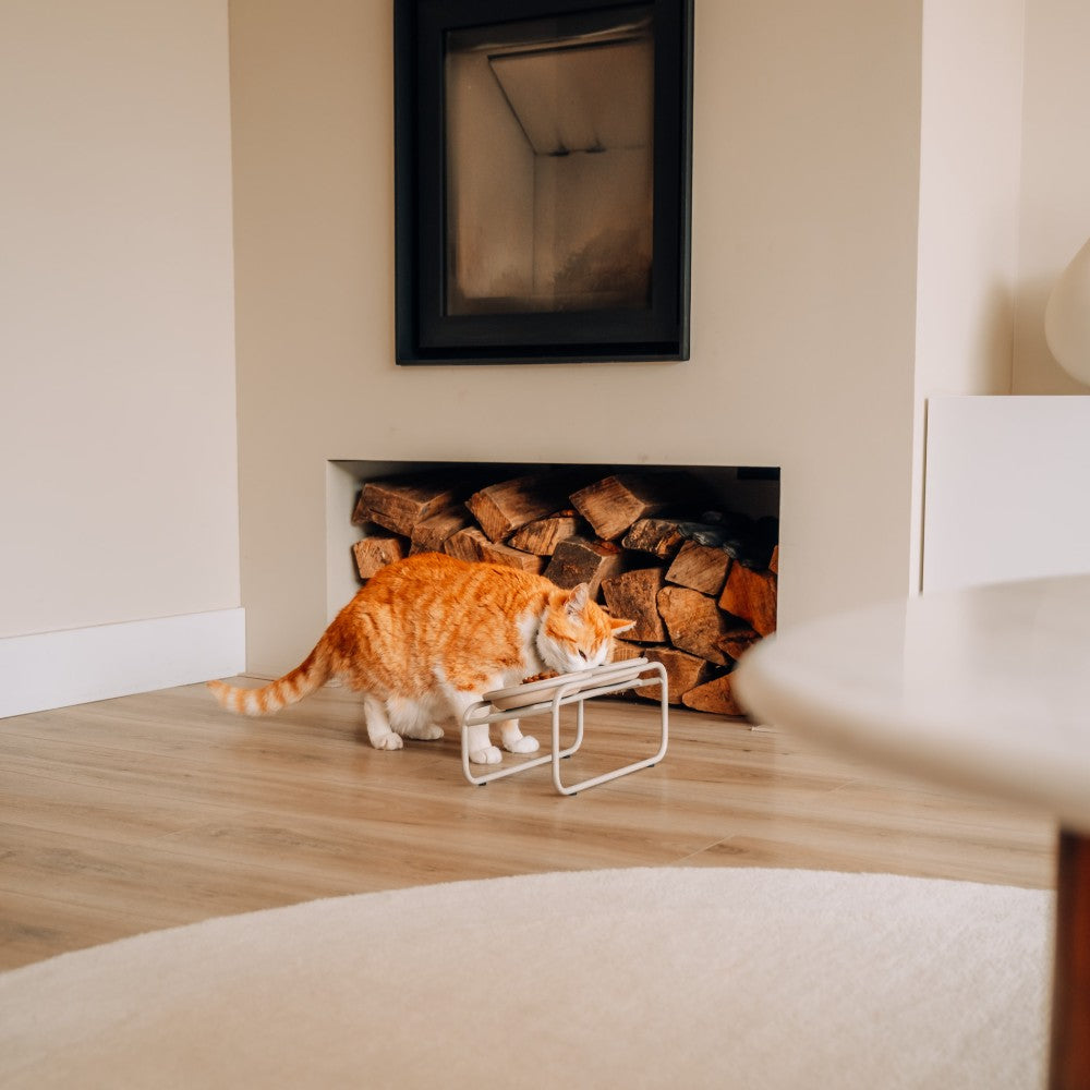 BUTLER voerbakstandaard voor katten in interieursetting - District 70