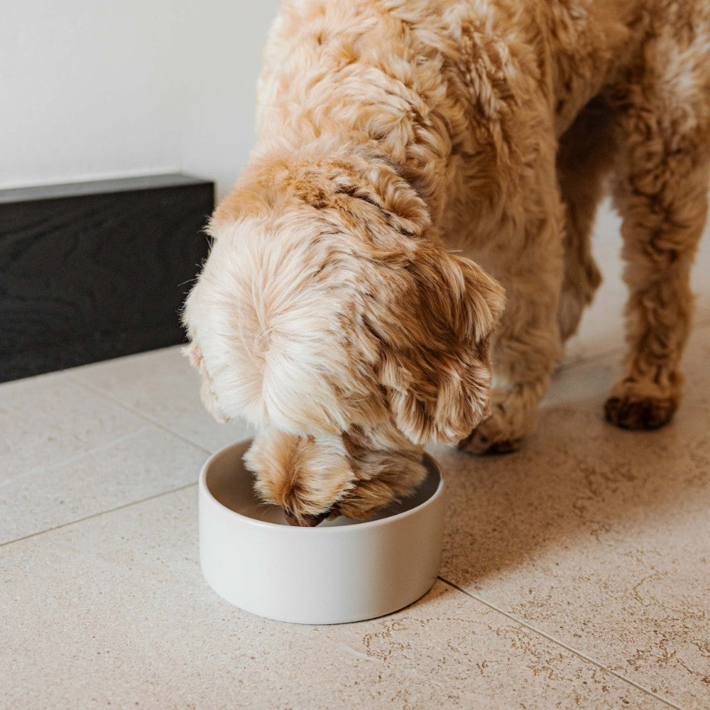 Voerbak voor hond in champagne maat M lifestyle - DUSK District 70