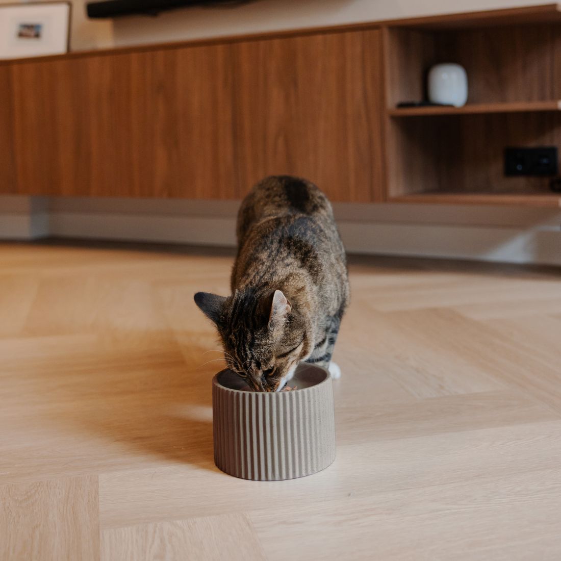 SENSE voerbak voor katten in beige lifestyle foto - District 70