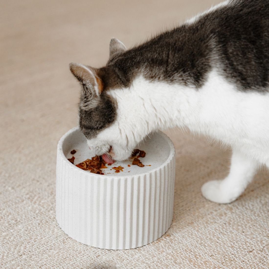 SENSE voerbak voor katten in merengue lifestyle foto - District 70