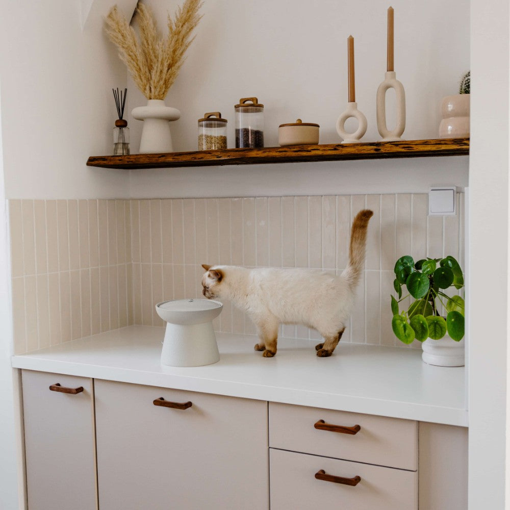 Design drinkfontein voor huisdier detailfoto - WABI SABI District 70