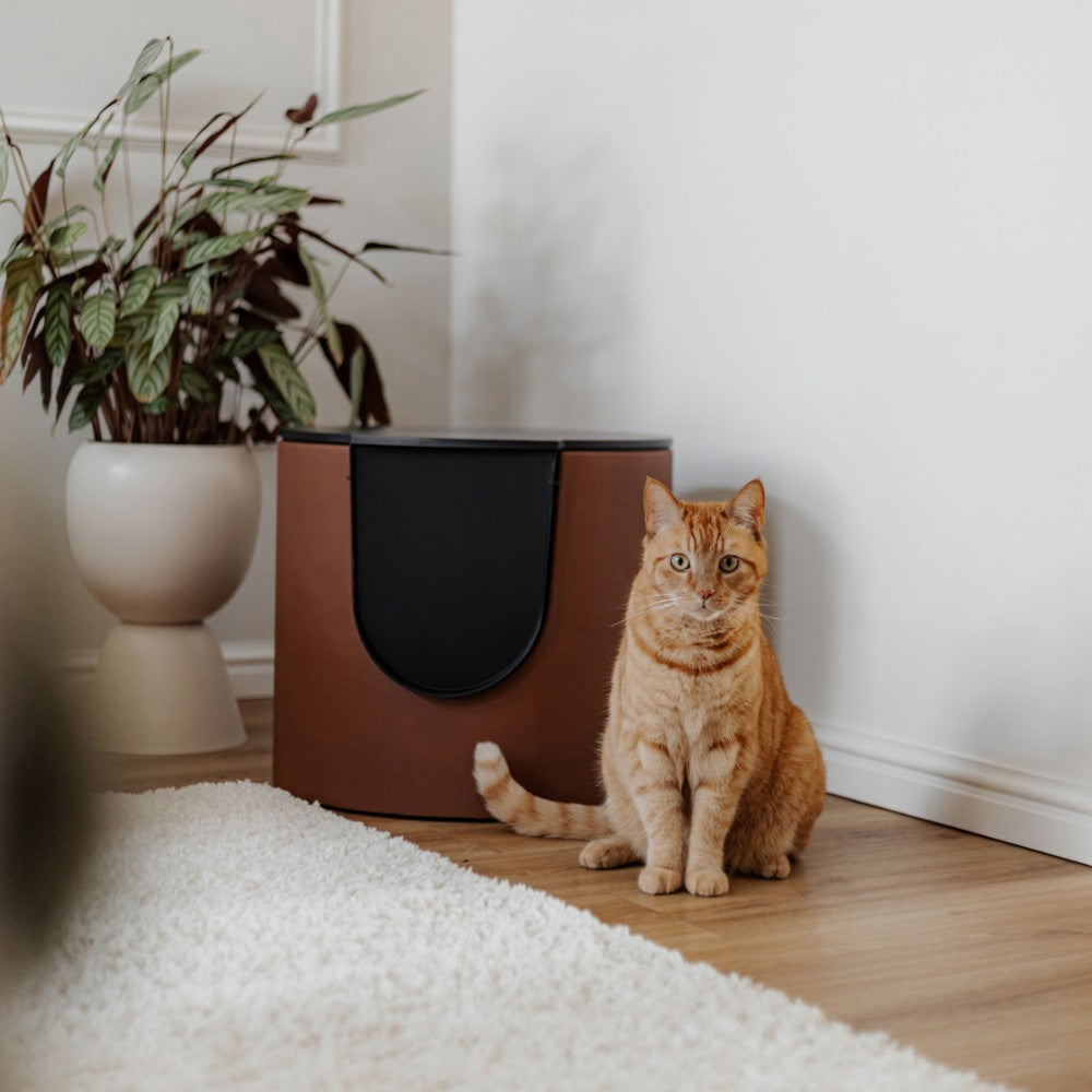 Kattenbak met cover in cognac vooraanzicht - FUSE District 70