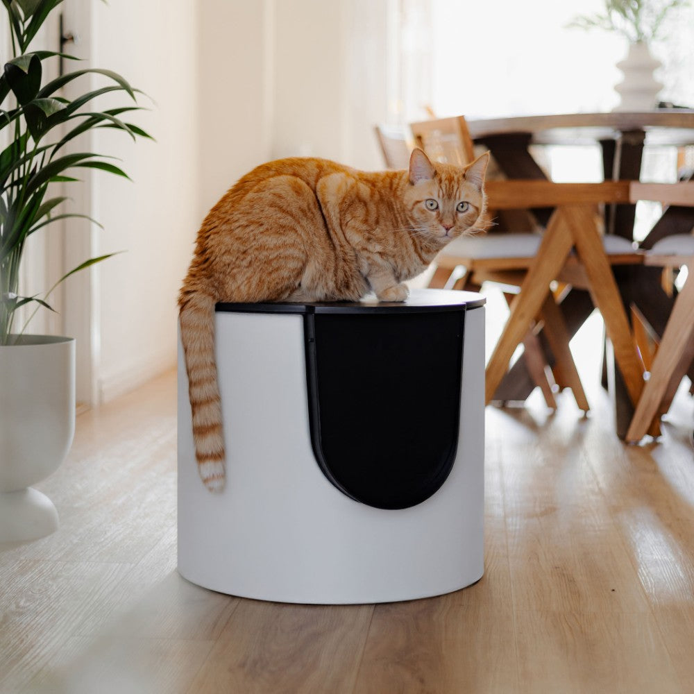Kattenbak in wit interieur lifestyle - FUSE District 70