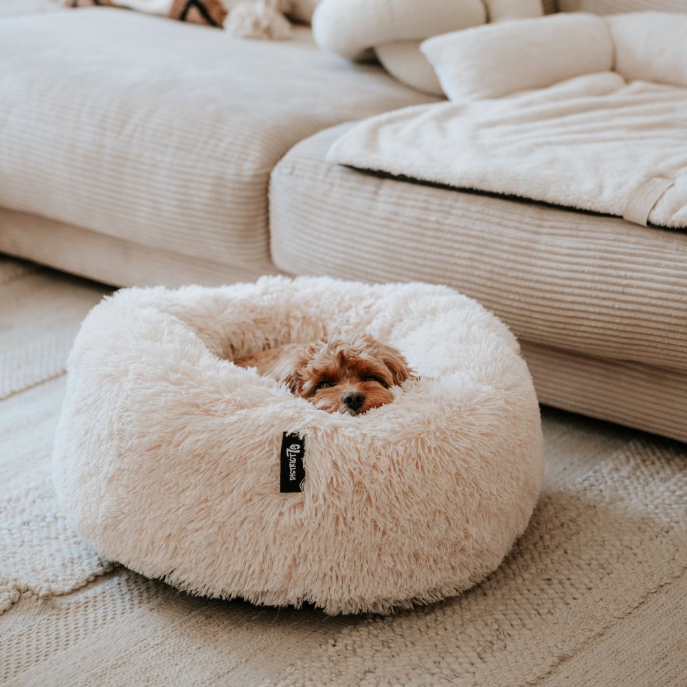 Merengue donut mand met ritssluiting - FUZZ District 70