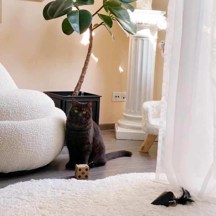GIFT SET kattenspeelgoed compleet overzicht - District 70