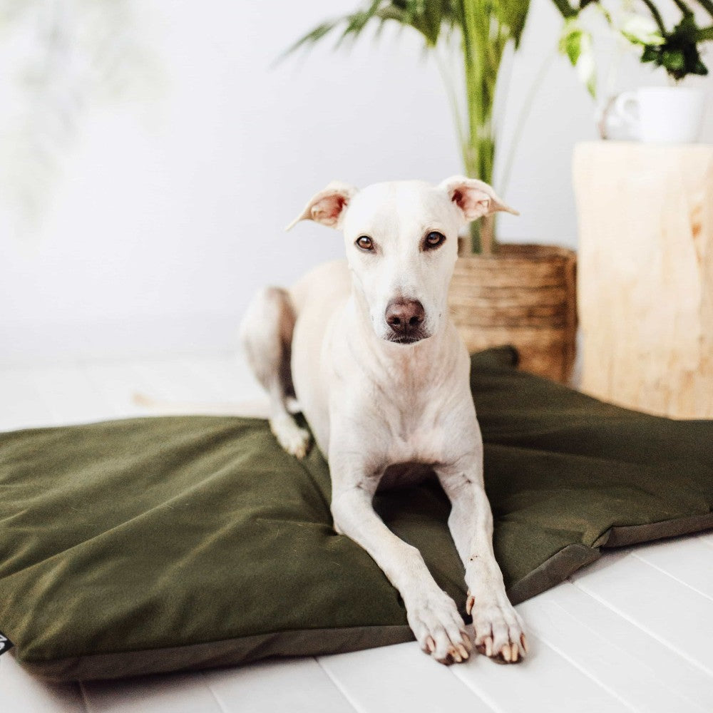 Benchmat in stijlvol interieur - LODGE District 70