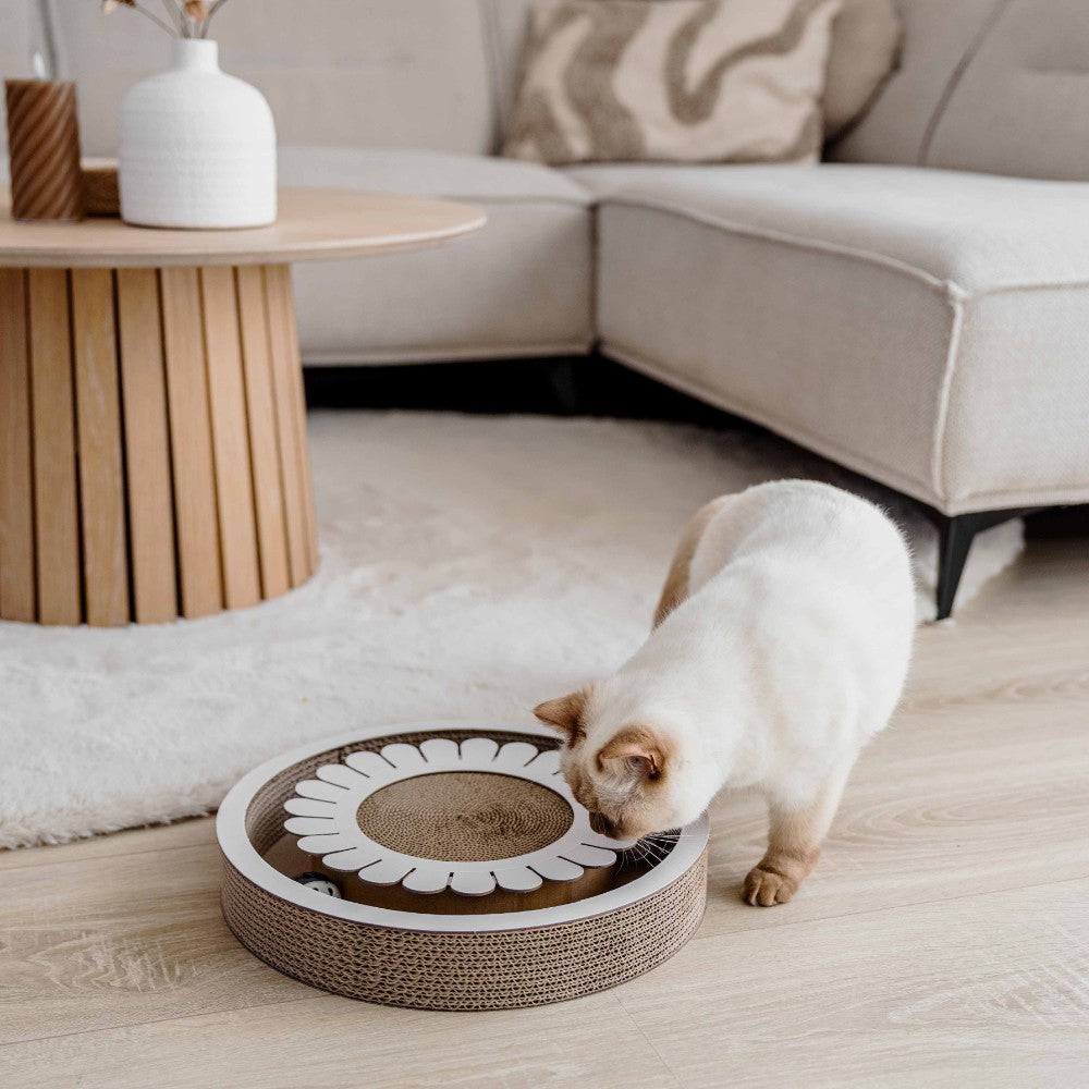BLOOM krabspeelgoed met kat lifestyle foto - District 70