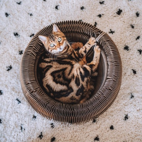 Multifunctioneel kattenhuis van karton lifestyle - MAZE District 70