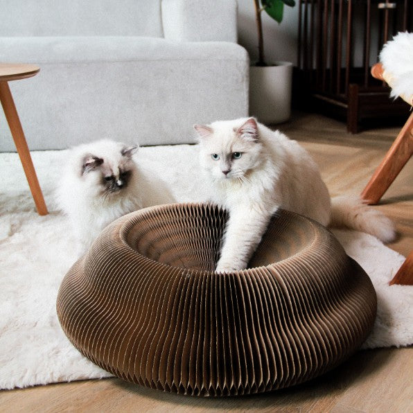 Opvouwbare kattenhuis verschillende vormen - MAZE District 70