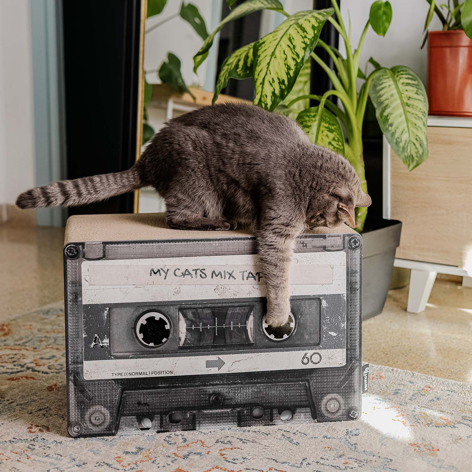 MIXTAPE - Kartonnen krabmeubel