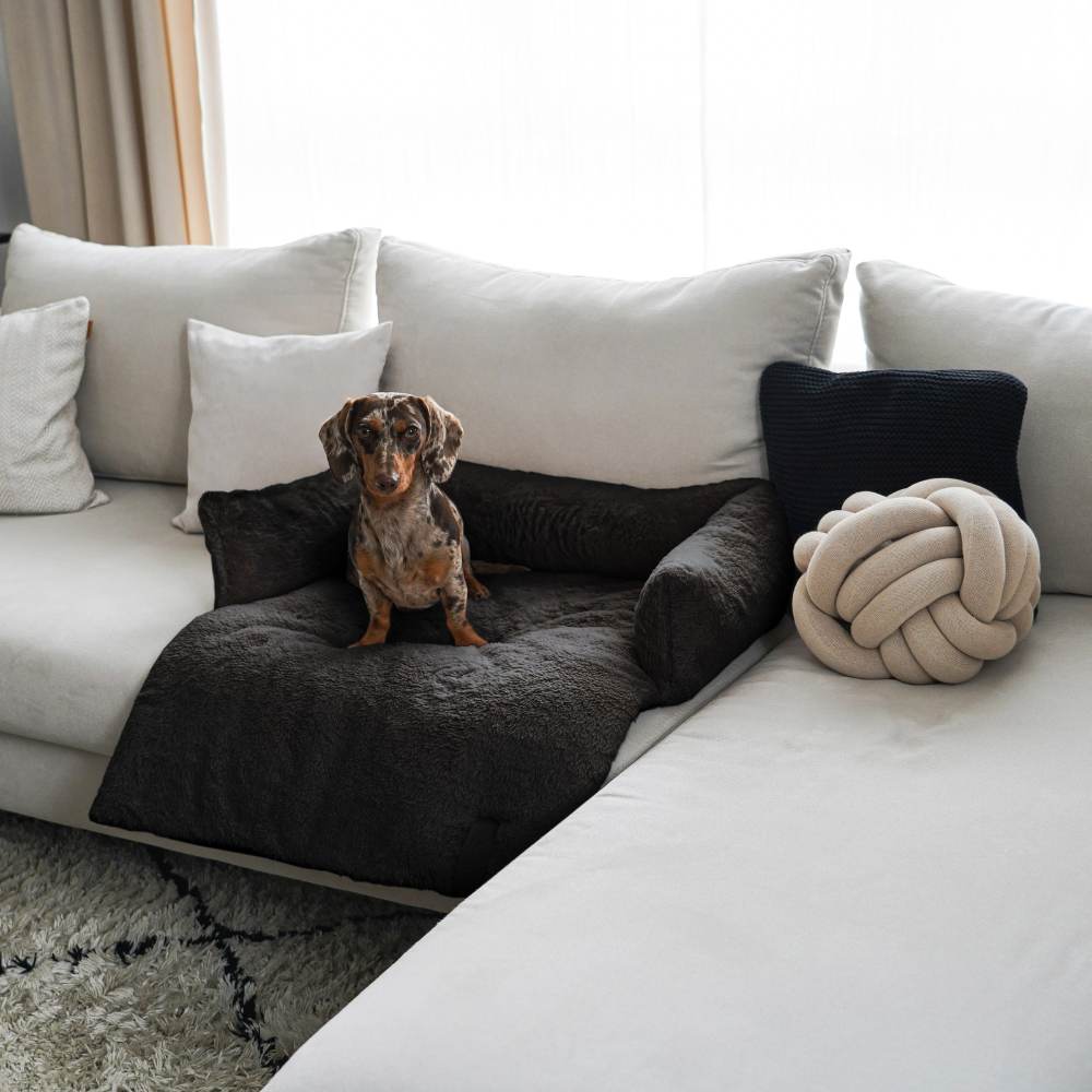 Zachte bankmand met hond in huiselijke sfeer - NUZZLE District 70