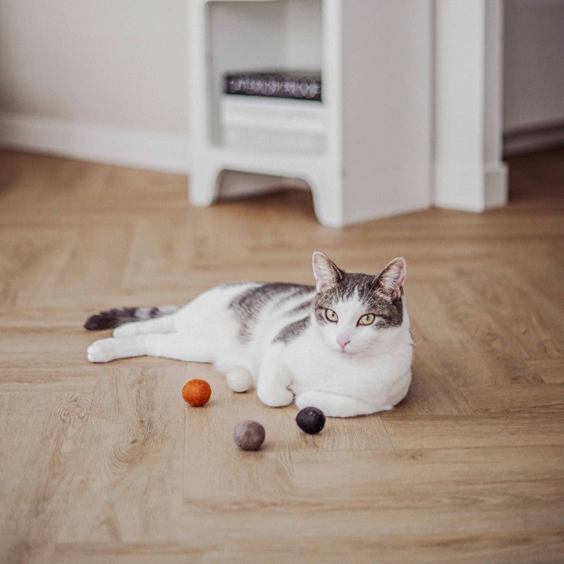PURE vilten balletjes voor katten lifestyle - District 70