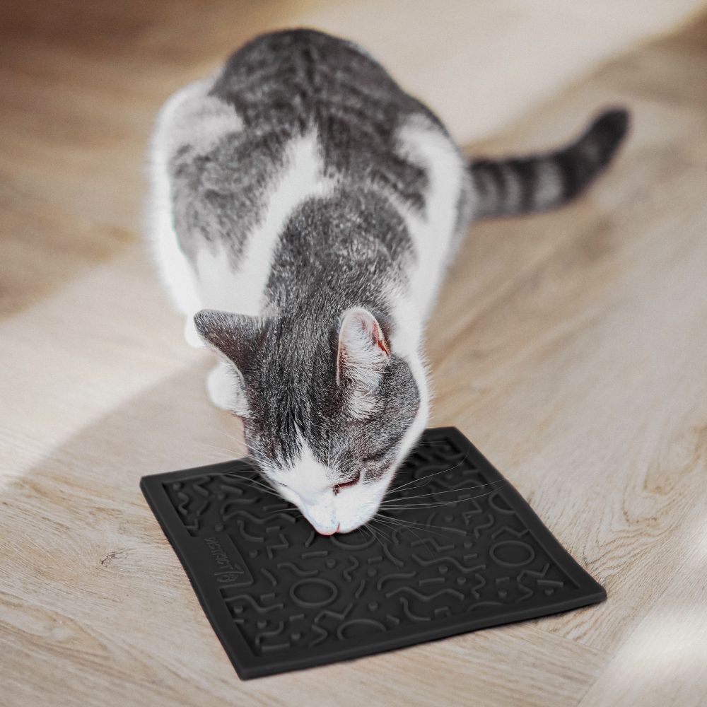 QUEST likmat voor katten in donkergrijs - District 70