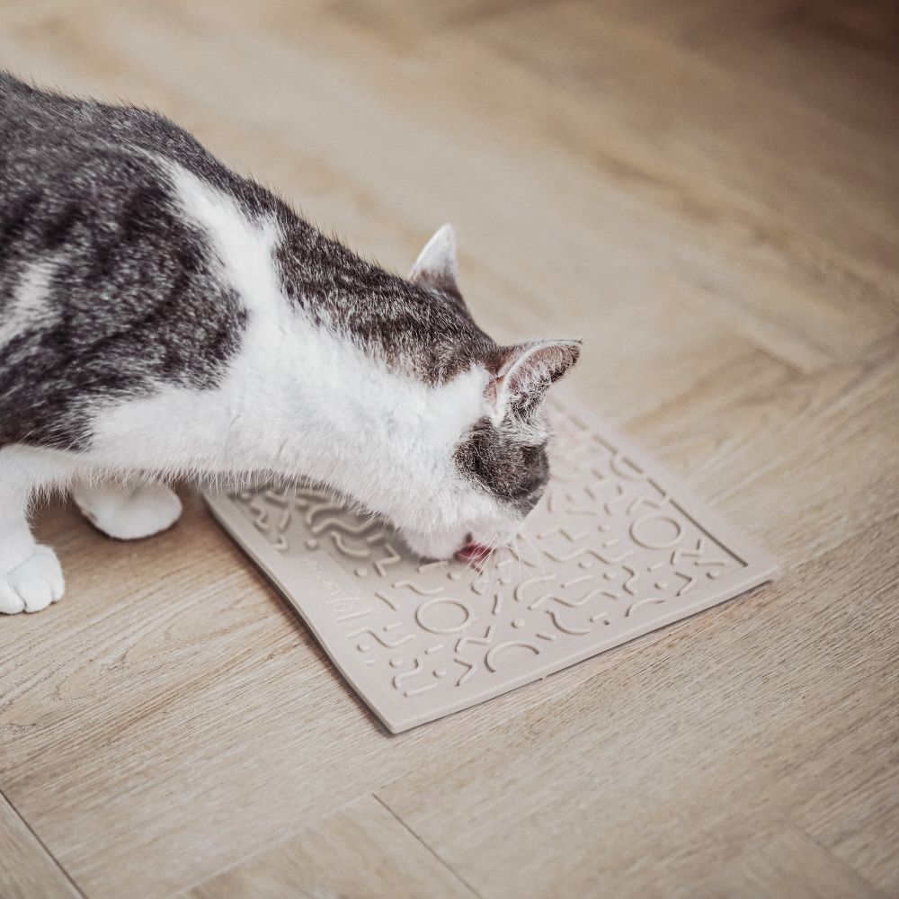 QUEST likmat voor katten in merengue lifestyle foto - District 70